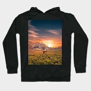 Kingdom Sun Hoodie